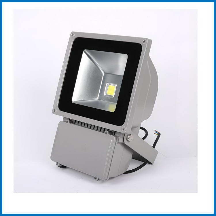 BRIDGELUX LED Flood Light 30W