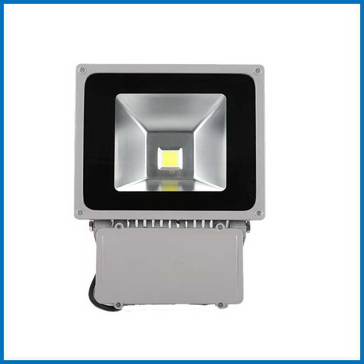 BRIDGELUX LED flood light 50W